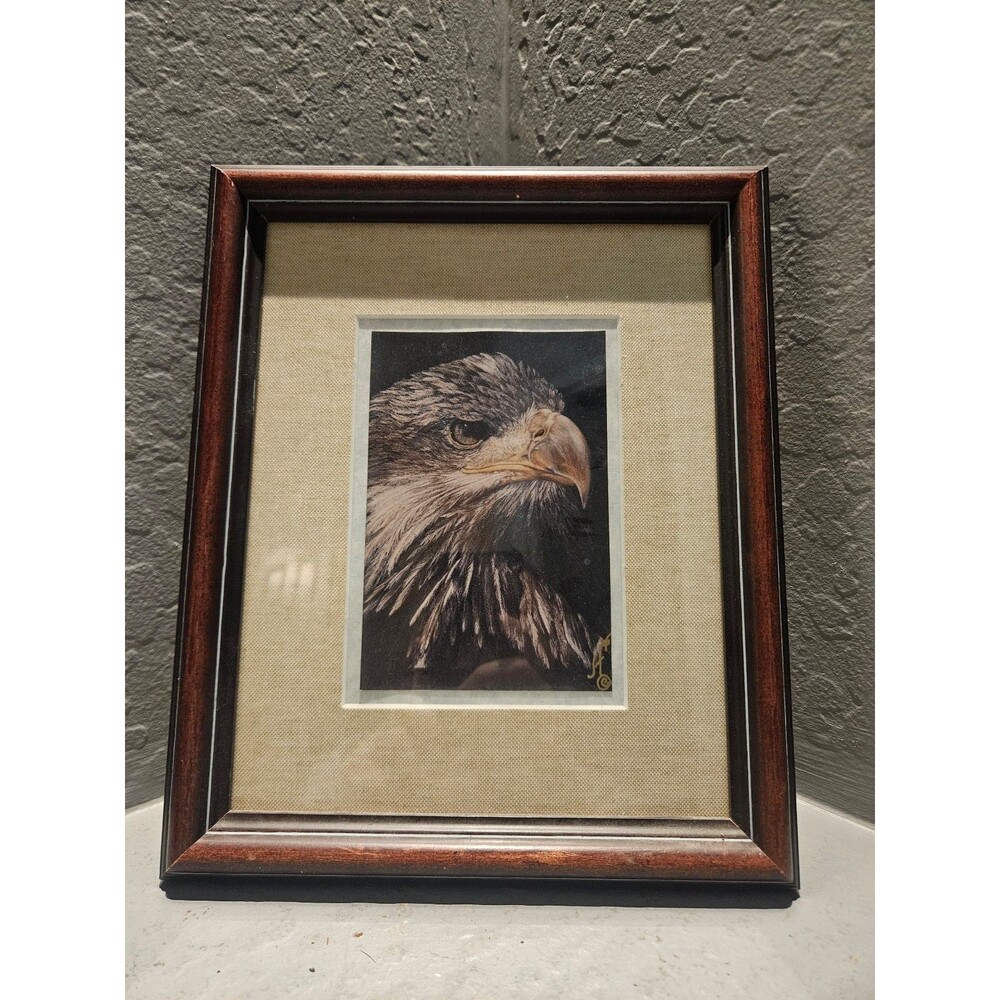 Framed Eagle Signed and Matted Picture 12" X 9"
